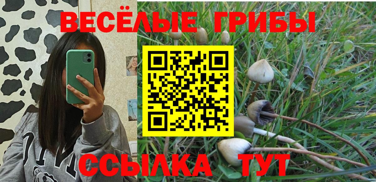 Псилоцибиновые грибы прущие грибы Горячий Ключ
